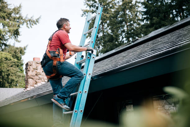 Best Roof Maintenance and Cleaning  in Rk Forest Village, PA